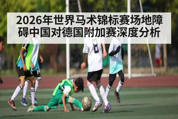 2026年世界马术锦标赛场地障碍中国对德国附加赛深度分析